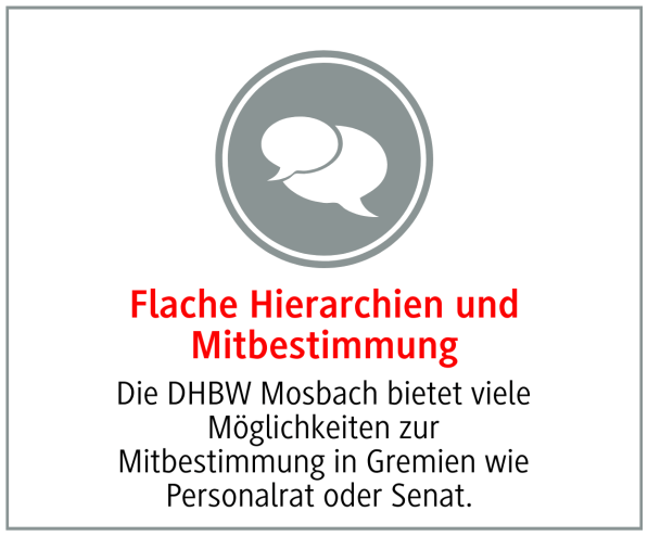Die DHBW Mosbach bietet viele Möglichkeiten zur Mitbestimmung in Gremien wie Personalrat oder Senat. 